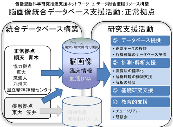 正常拠点